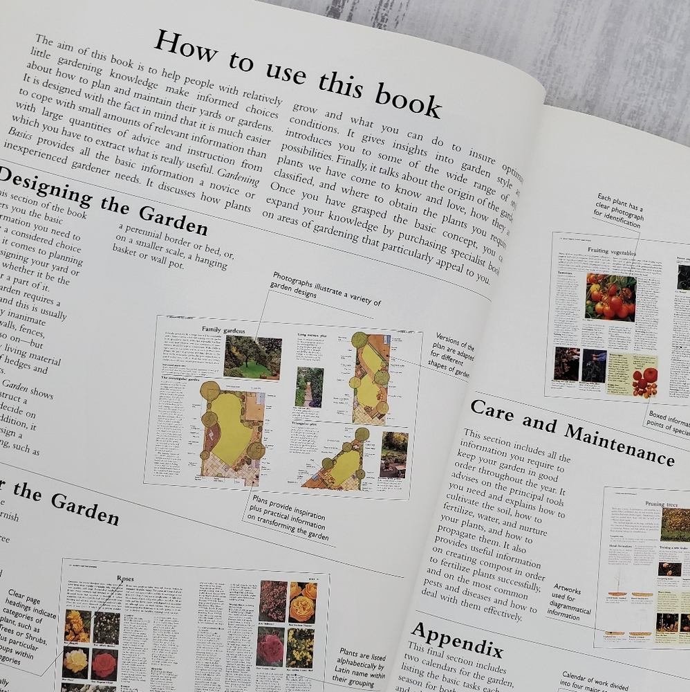 Gardening Basics: How to design ... - Picture 3 of 11